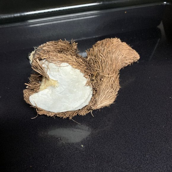 Fall Bottle Brush Squirrel - Picture 5 of 5